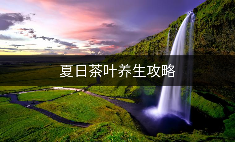 夏日茶葉養生攻略