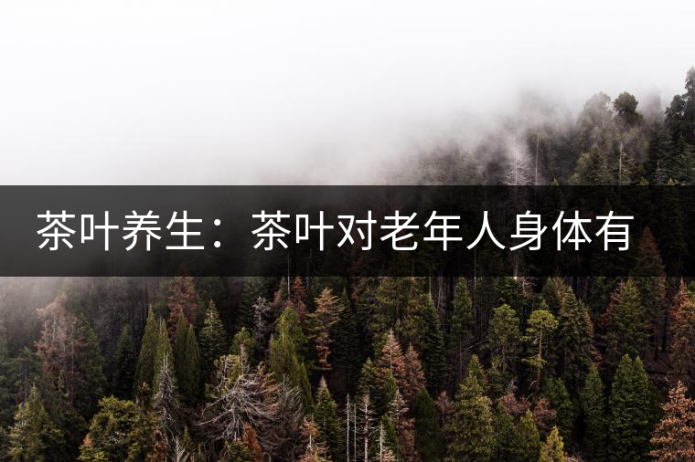 茶葉養生：茶葉對老年人身體有益處