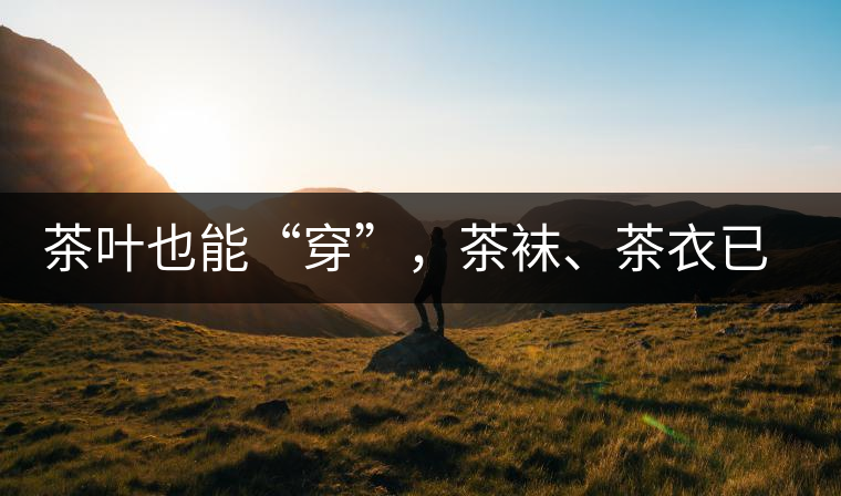 茶葉也能“穿”，茶襪、茶衣已進入研發階段