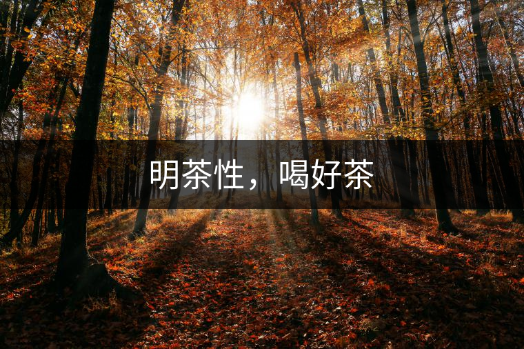 明茶性，喝好茶