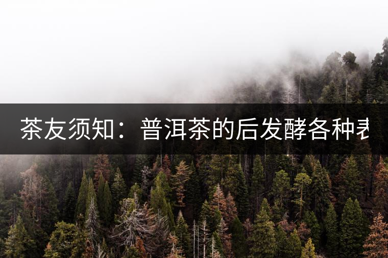 茶友須知：普洱茶的后發酵各種表現 喝普洱有益健康的奧妙所在！