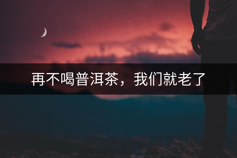 再不喝普洱茶,我們就老了 再不喝普洱茶,我們就老了