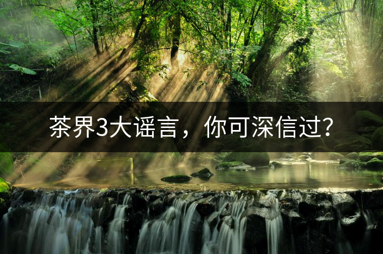 茶界3大謠言,你可深信過? 茶界3大謠言,你可深信過?