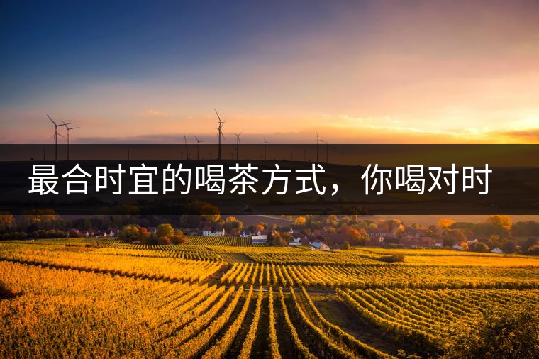 最合時宜的喝茶方式，你喝對時間了嗎？