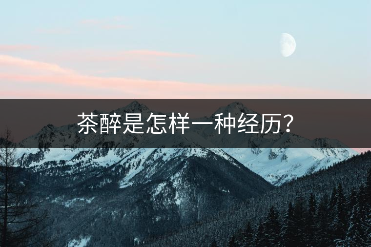 茶醉是怎樣一種經(jīng)歷？