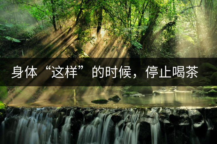 身體“這樣”的時候,停止喝茶!當心好茶變“毒藥”! 身體“這樣”的時候,停止喝茶!當心好茶變“毒藥”!