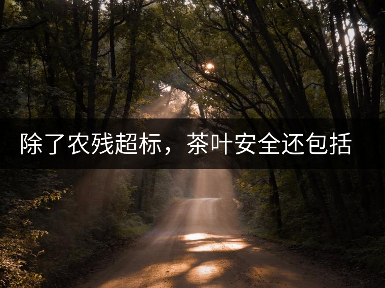 除了農殘超標，茶葉安全還包括哪些方面？