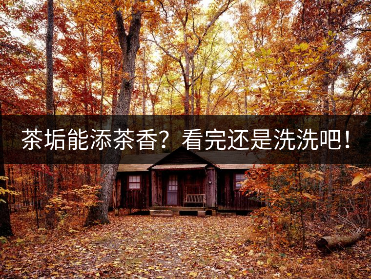 茶垢能添茶香？看完還是洗洗吧！