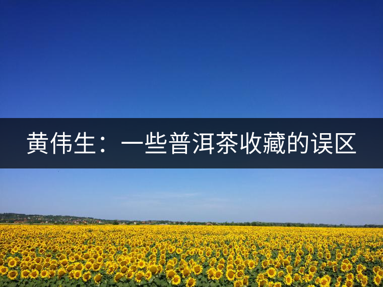 黃偉生:一些普洱茶收藏的誤區 黃偉生:一些普洱茶收藏的誤區