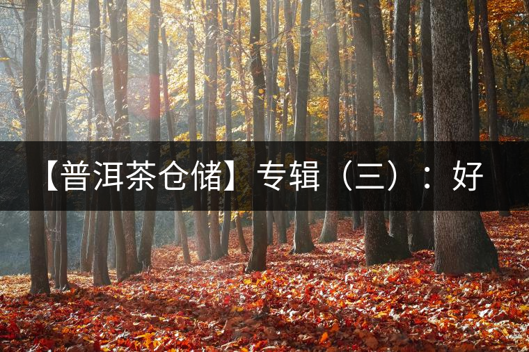 【普洱茶倉(cāng)儲(chǔ)】專輯(三):好倉(cāng)儲(chǔ)還得有好茶,把控“選購(gòu)關(guān)” 【普洱茶倉(cāng)儲(chǔ)】專輯(三):好倉(cāng)儲(chǔ)還得有好茶,把控“選購(gòu)關(guān)”