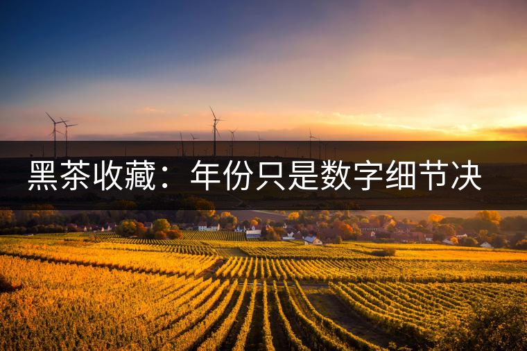 黑茶收藏:年份只是數字細節決定價值 黑茶收藏:年份只是數字細節決定價值