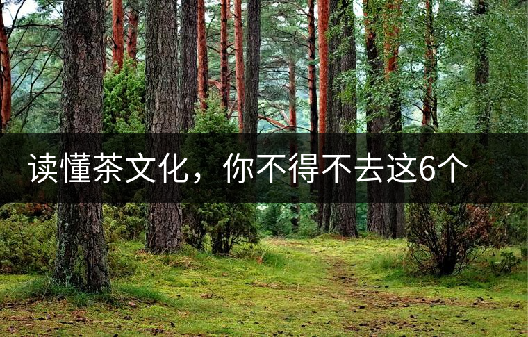 讀懂茶文化,你不得不去這6個城市 讀懂茶文化,你不得不去這6個城市