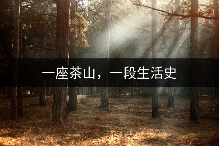 一座茶山,一段生活史 一座茶山,一段生活史