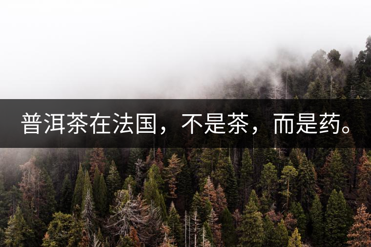 普洱茶在法國(guó)，不是茶，而是藥。