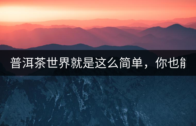 普洱茶世界就是這么簡單，你也能懂！