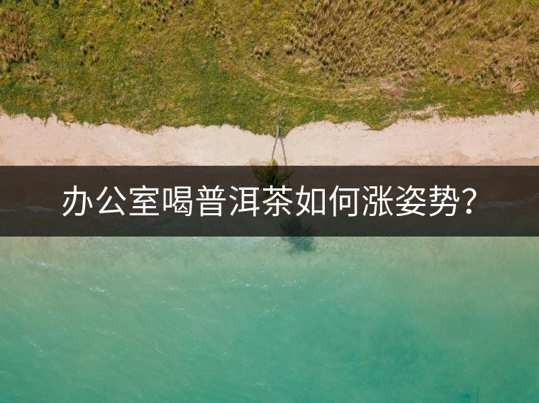 辦公室喝普洱茶如何漲姿勢? 辦公室喝普洱茶如何漲姿勢?