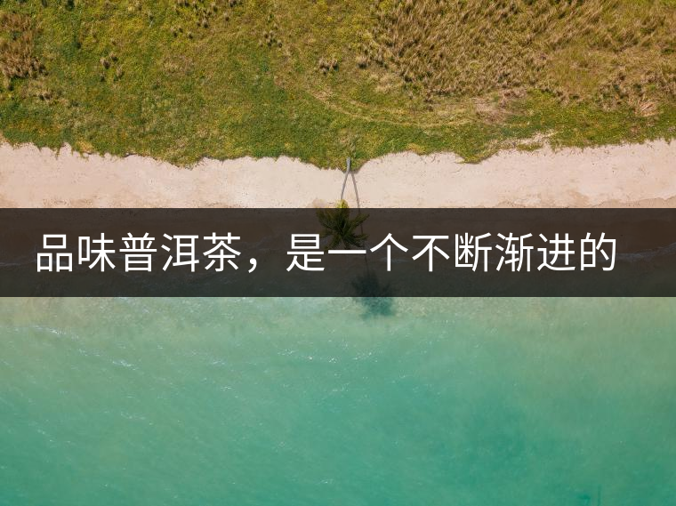 品味普洱茶，是一個(gè)不斷漸進(jìn)的過程