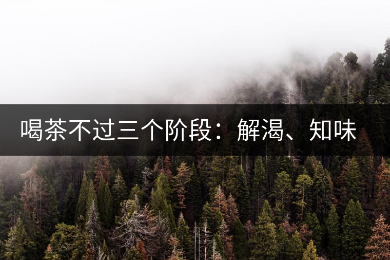 喝茶不過三個階段：解渴、知味、怡情
