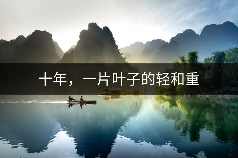 十年,一片葉子的輕和重 十年,一片葉子的輕和重