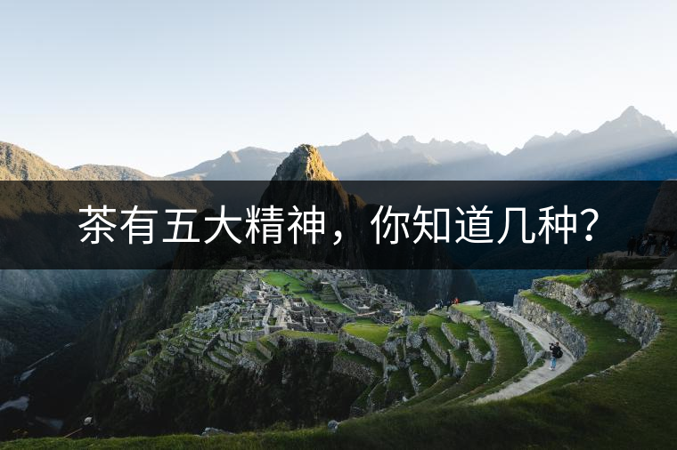 茶有五大精神，你知道幾種？