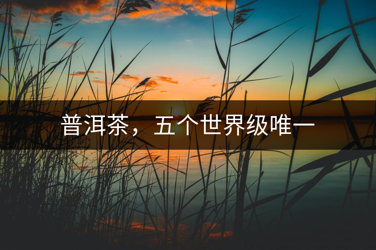 普洱茶,五個世界級唯一 普洱茶,五個世界級唯一
