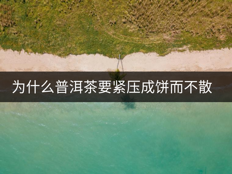 為什么普洱茶要緊壓成餅而不散存呢？