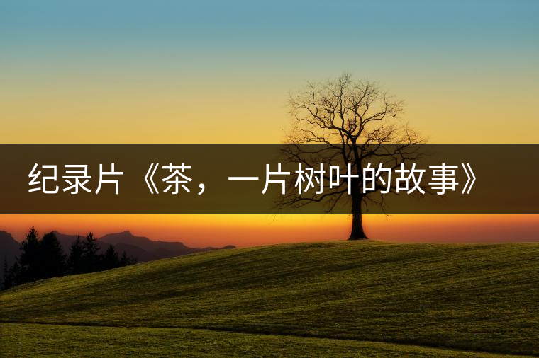 紀錄片《茶,一片樹葉的故事》 茶文化的詩意追尋 紀錄片《茶,一片樹葉的故事》 茶文化的詩意追尋