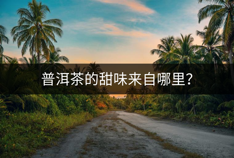 普洱茶的甜味來自哪里？