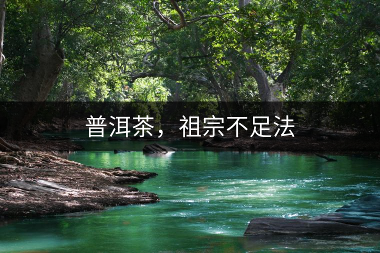 普洱茶,祖宗不足法 普洱茶,祖宗不足法