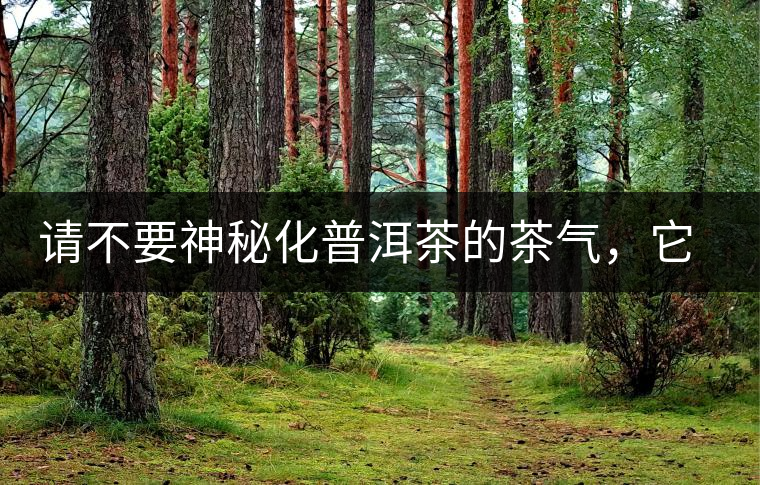 請不要神秘化普洱茶的茶氣,它是科學的存在 請不要神秘化普洱茶的茶氣,它是科學的存在