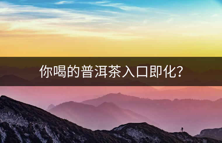 你喝的普洱茶入口即化? 你喝的普洱茶入口即化?