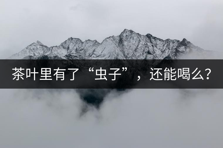 茶葉里有了“蟲子”,還能喝么? 茶葉里有了“蟲子”,還能喝么?