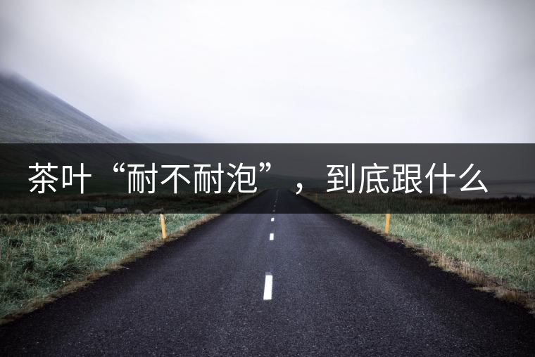 茶葉“耐不耐泡”，到底跟什么有關？