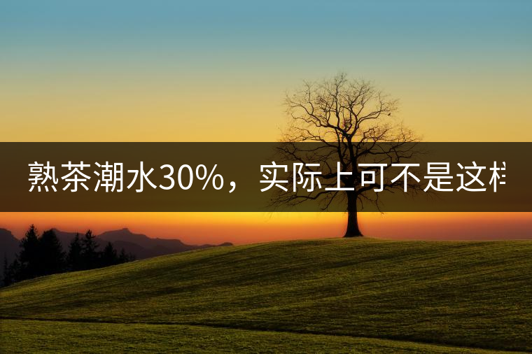 熟茶潮水30%,實(shí)際上可不是這樣! 熟茶潮水30%,實(shí)際上可不是這樣!