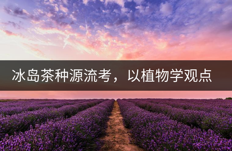 冰島茶種源流考,以植物學(xué)觀點(diǎn)解讀冰島茶 冰島茶種源流考,以植物學(xué)觀點(diǎn)解讀冰島茶