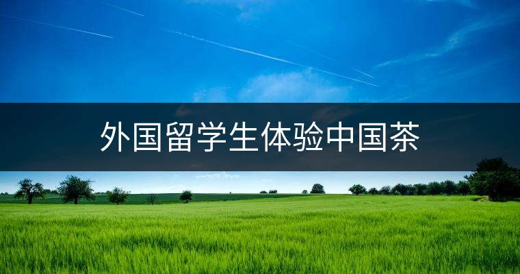 外國留學生體驗中國茶 外國留學生體驗中國茶