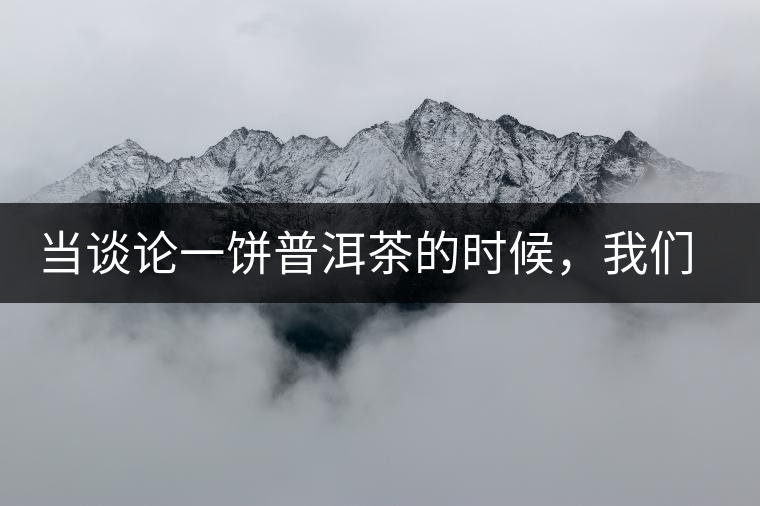 當談論一餅普洱茶的時候,我們該談些什么? 當談論一餅普洱茶的時候,我們該談些什么?