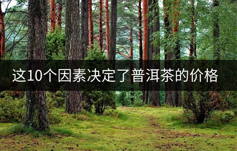 這10個因素決定了普洱茶的價格? 這10個因素決定了普洱茶的價格?