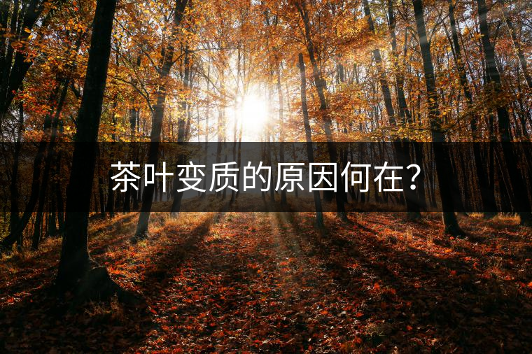 茶葉變質的原因何在? 茶葉變質的原因何在?