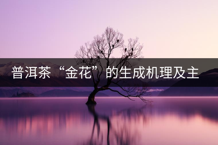 普洱茶“金花”的生成機理及主要特征