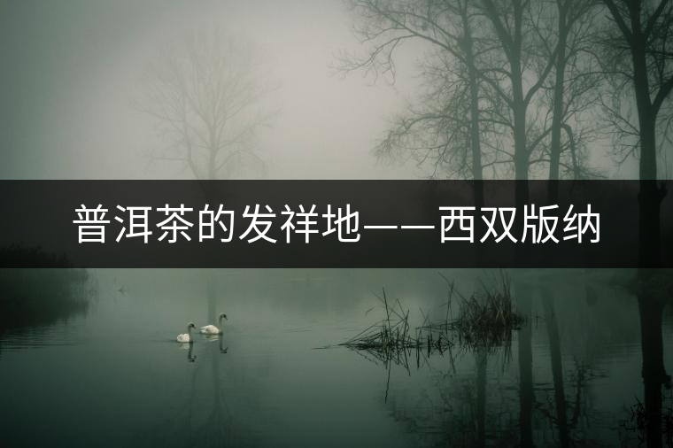 普洱茶的發祥地——西雙版納