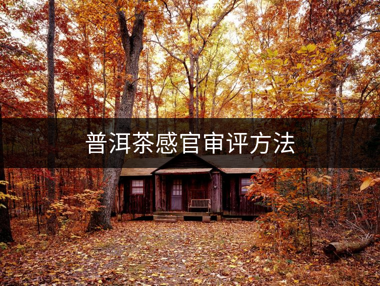 普洱茶感官審評方法 普洱茶感官審評方法