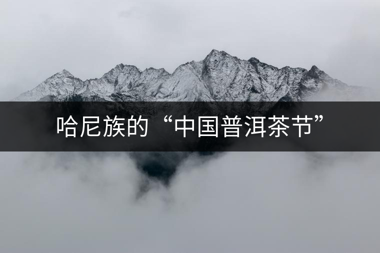 哈尼族的“中國普洱茶節”
