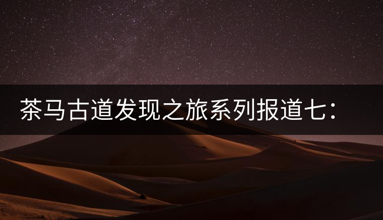 茶馬古道發現之旅系列報道七:漢藏血脈普洱路 茶馬古道發現之旅系列報道七:漢藏血脈普洱路