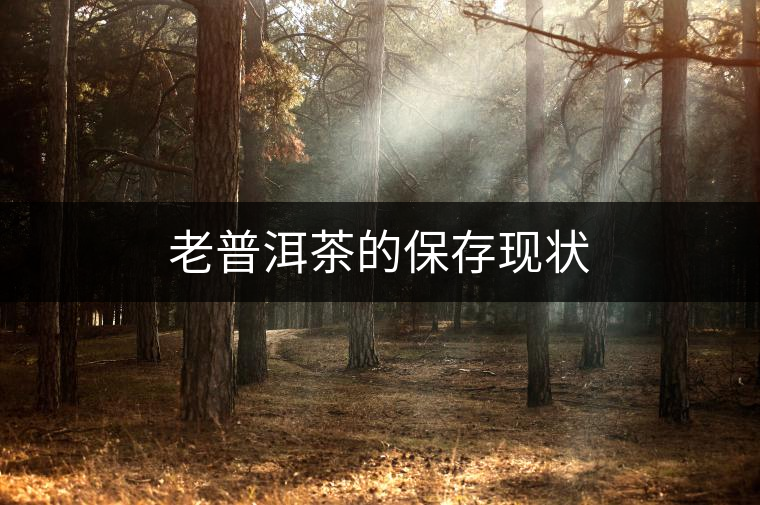 老普洱茶的保存現狀 老普洱茶的保存現狀