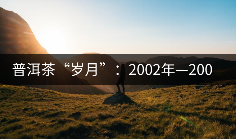 普洱茶“歲月”:2002年—2004年間的普洱茶 普洱茶“歲月”:2002年—2004年間的普洱茶