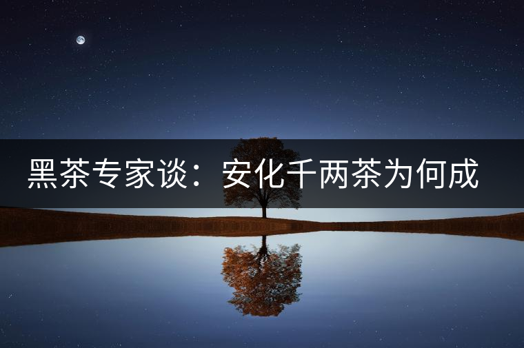 黑茶專家談：安化千兩茶為何成“世界茶王”？