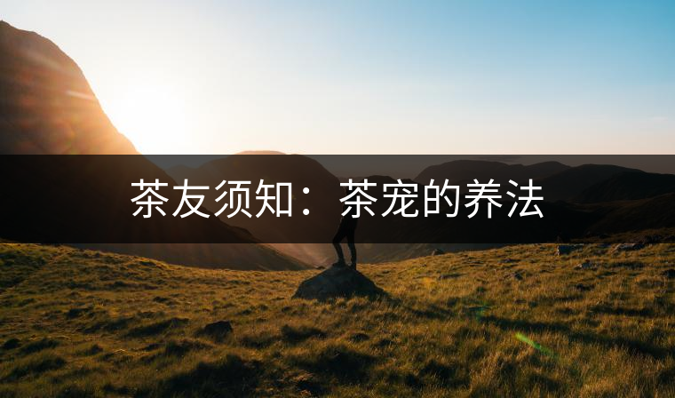 茶友須知:茶寵的養法 茶友須知:茶寵的養法