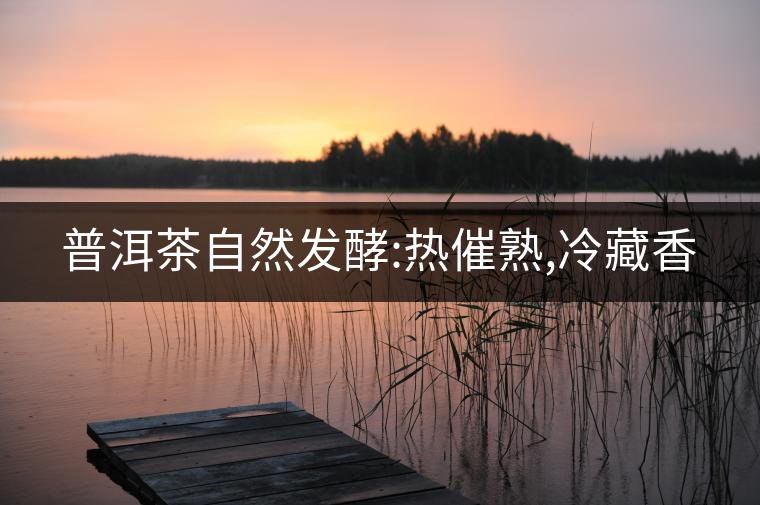 普洱茶自然發酵:熱催熟,冷藏香 普洱茶自然發酵:熱催熟,冷藏香