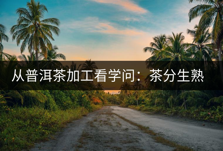 從普洱茶加工看學問：茶分生熟　各有短長